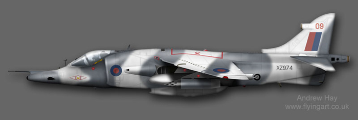Harrier GR.3 XZ974 1(F) Sqn